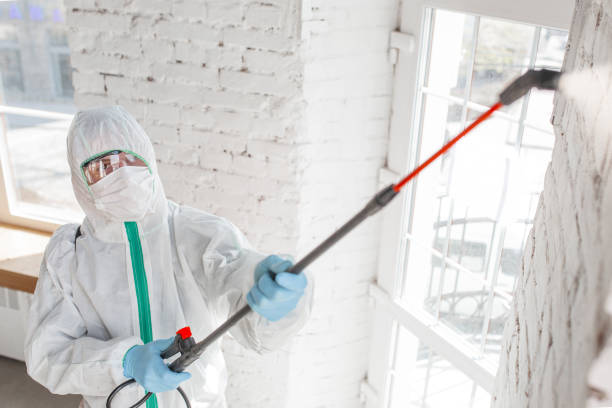 Best Air Quality Testing for Mold Spores  in Georgetown, SC