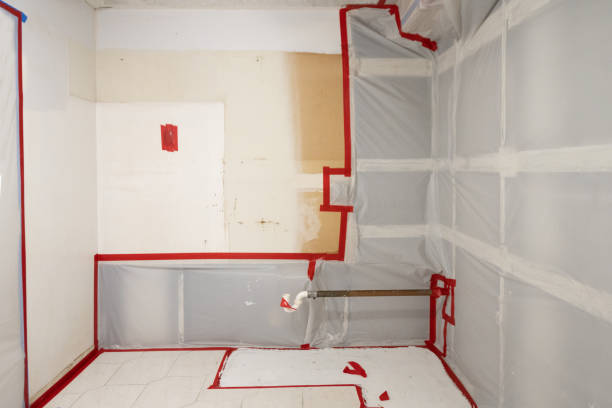 Best Emergency Mold Remediation  in Georgetown, SC