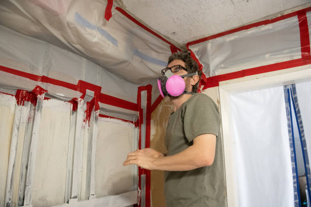 Best Industrial Mold Remediation  in Georgetown, SC