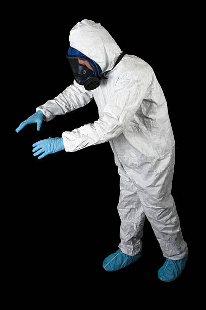  Georgetown, SC Mold Removal Pros
