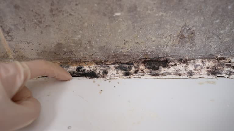 Best Indoor Air Quality Assessment  in Georgetown, SC